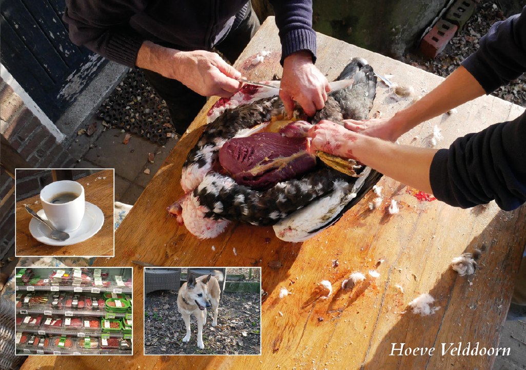 parisian kitchen utensils shop interior